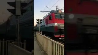 Положил ягоды под поезд #ржд #train #automobile #поезда #railway #поезд #top #trainspotting #rail