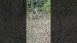 ещё одна мелочь прибилась!!! пусть живёт и радуется!!!