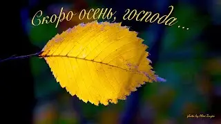 Скоро осень, господа ... (Александр Серёгин)