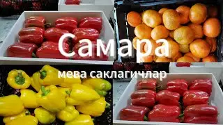 Самара|мева саклагичлар