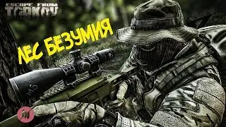 Escape From Tarkov | ЛЕС БЕЗУМИЯ