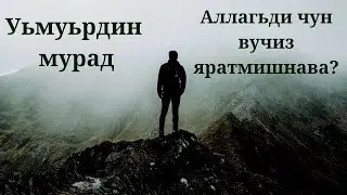 Уьмуьрдин мурад. Аллагьди чун вучиз яратмишнава? Цель жизни |  Лезгияр - Лезгины