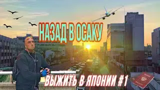 🇯🇵- Выжить в Японии 1. «Назад в Осаку».