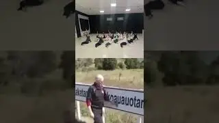 Тот самый певец-хореограф🫶🏼 #danceteam #dancevideo #танец #контемпорари