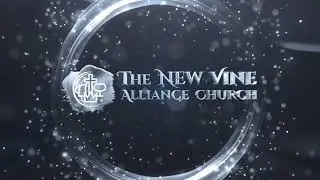 NVA Logo opener Harp2