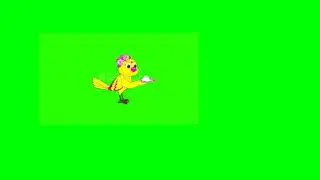 green screen tuni/green sceen chidiya/green screen cartoon/green screen bird/green screen video