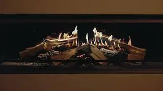 Kalfire E one 130S Flames Dynamic Woodfire