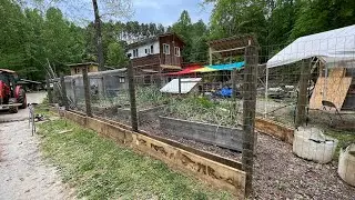 Gardens & Bunnies - Rabbitnipples.com