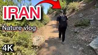 4K Iran Adventure | Mountains, Forests & a Secret Hut in Kelardasht | Nature Walk