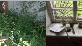 Лестница, подоконник спустя месяц 🕓