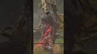 Sekiro VS. Elden Ring