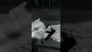эх патронов нет и здесь нет противников 3 я 1 что выход 1 рнзняяя
