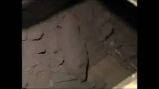 Bunker Discharge Conveyor