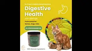 Promotion of Herbal Solutions