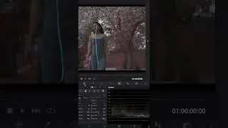 Panning Effect DaVinci Resolve 18 Tutorial 