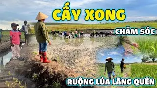 Thế Nhân ||Vụ Cấy Đông Xuân Kết Thúc Tốt Đẹp Hy Vọng Thiên Thời Địa Lợi Nhân Hoà Cho Người Dân Ấm No