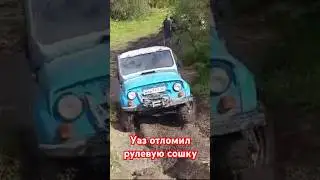 МВД на 13 кордон Белокуриха