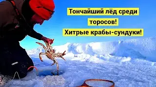 Elbow-deep in the hole for a crab!