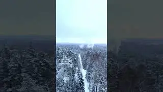 Zilie Kalni from sky