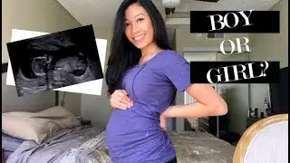 10-16 WEEKS | GENDER REVEAL?!