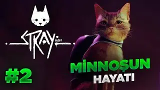 DIŞ DÜNYAYA YOLCULUK! STRAY TÜRKÇE BÖLÜM 2