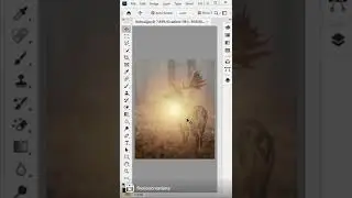 Sunlight Effect In Photoshop ||Photoshop In Punjabi With Manjeet Singh || Fire Lion Creations