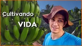 Agrofloresta no Rio Grande do Sul | 2ª vivência