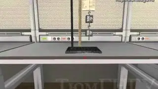 PHYSSPO04 - Проверка закона сохранения энергии при действии сил тяжести и упругости