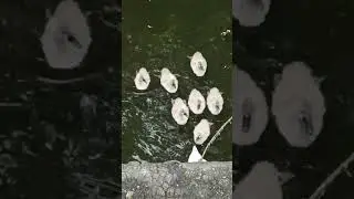 Не забудь радіти життю, по якому йдеш!