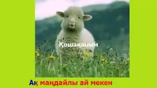 Қошақаным. Караоке (минус)