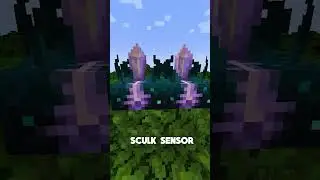 The New Op Block In Minecraft...