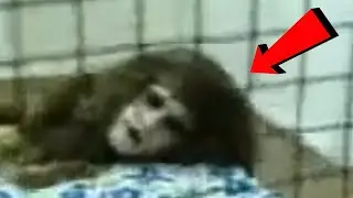 Video Inquietanti Che Ti Manderanno L'ANSIA ALLE STELLE