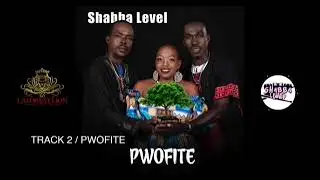Shabba level album pwofite 2024
