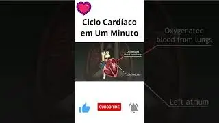 Ciclo Cardíaco em Um Minuto