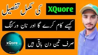 What Is Forsage XQuore Program | How it works & How To Get Profit from xQuore | Non Working Income