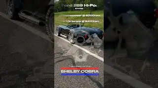 Recreating the 1965 289 Hi-Po #shorts #shelby #ford #racing #automobile