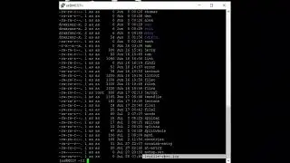 Linux 81 (Terminal Commands in Linux)