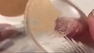 Silisponge