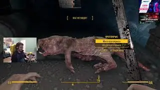 f4 выживание, day 2