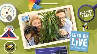 Meet The Animal Helpers! | Project Earth | #23 LET'S GO LIVE