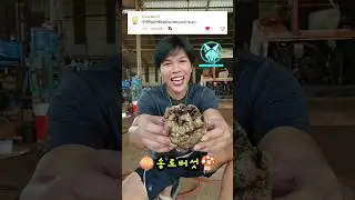 ผัก 🥦 ช๊อต 🥬 อ้ากอาก 🤣