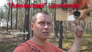 Мухоморная 