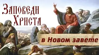 Проповедь. Заповеди Христа в Новом завете.