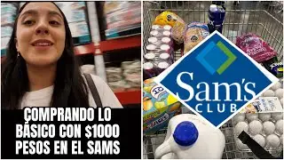 DESPENSA con $1000 💸pesos en el SAMS🇲🇽