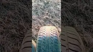 отзыв про шины Кама, стоит ли? 