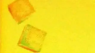 Ranma ½ Ending Present (Ryoga Version)