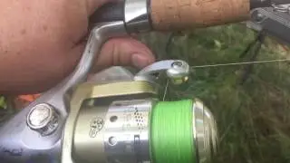 Обзор моих спиннинговых снастей
