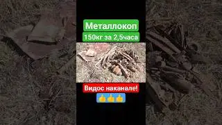 железное поле чудес!!! 