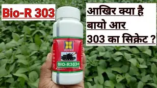 Bio-R303 Damman/daman bio 303/bio 303 insecticide price/bio303/bio 303/a2z farming