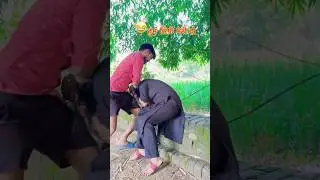 Omg 😱 Upboyraj Comedy 🤣😂 #upboyraj #upboyrajcomedy